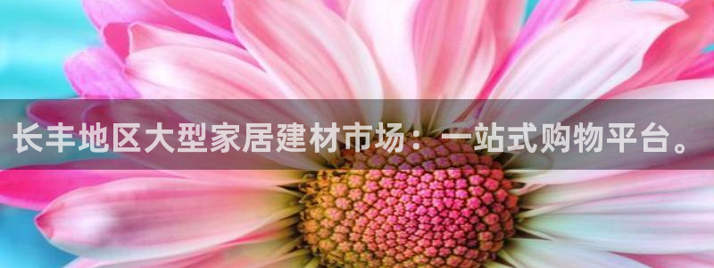 杏鑫平台代理注册多少钱